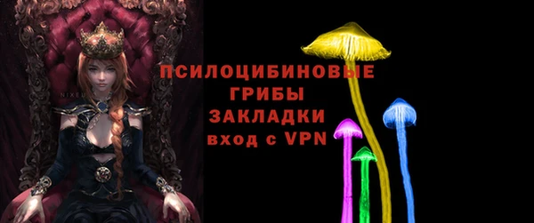 MDMA Premium VHQ Богородицк