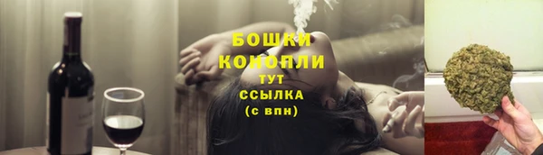 мдпв Богородск