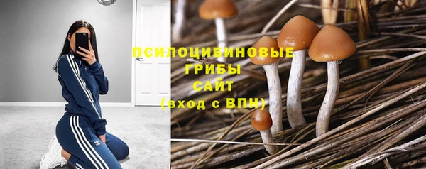 2c-b Богданович