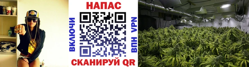 гидра сайт  Кольчугино  Бошки марихуана семена  продажа наркотиков 